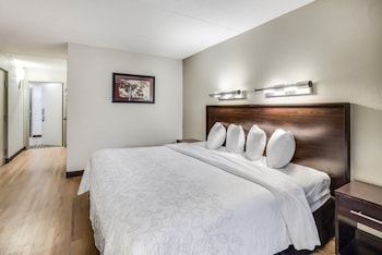 Superior Room, 1 King Bed, Accessible (Roll-In Shower, Smoke Free)