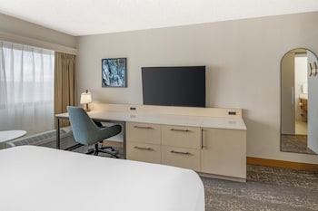 Room, 1 King Bed (Skyline View)