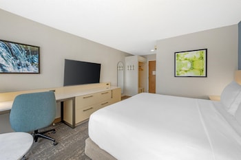 Room, 1 King Bed (Skyline View)