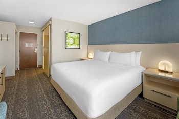 Room, 1 King Bed (Skyline View)