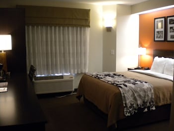 Standard Room, 1 Queen Bed, Non Smoking
