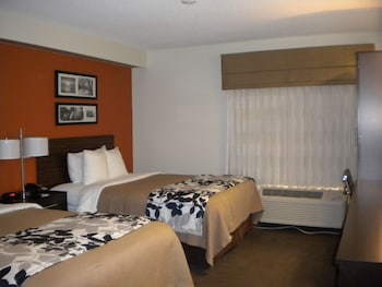 Standard Room, 2 Double Beds