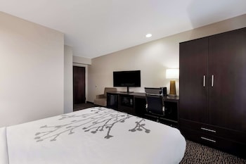 Room, 1 Queen Bed, Accessible