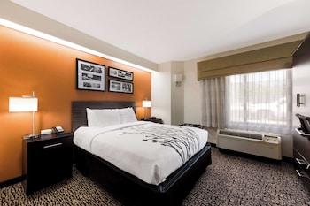 Room, 1 Queen Bed, Accessible