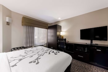 Room, 1 Queen Bed, Accessible