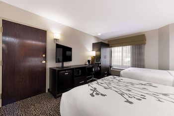 Standard Room, 2 Double Beds