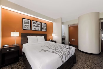 Standard Room, 1 Queen Bed, Non Smoking