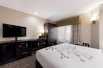 Room, 1 Queen Bed, Accessible