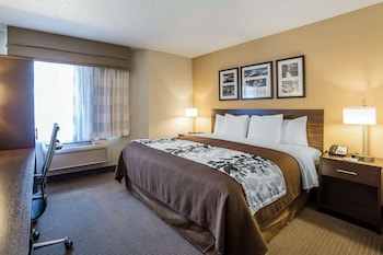 Room, 1 King Bed, Accessible, Non Smoking