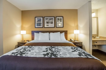 Room, 1 King Bed, Accessible, Non Smoking