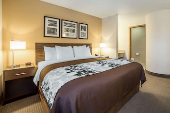 Room, 1 King Bed, Accessible, Non Smoking