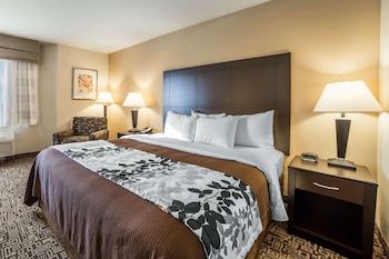 Standard Room, 1 King Bed, Non Smoking