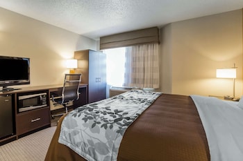 Room, 1 King Bed, Accessible, Non Smoking