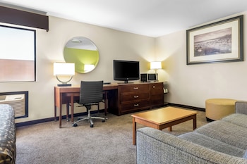 Suite, 1 King Bed with Sofa bed, Non Smoking