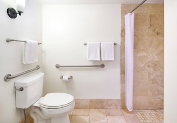 Premier Ocean Front One-Bedroom Suite