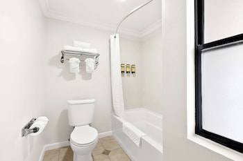 Suite, 1 King Bed, Non Smoking, Refrigerator & Microwave (with Sofabed)