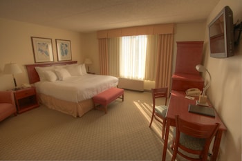 Superior Room (Coast King)