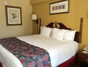 Deluxe Room, 1 Queen Bed, Non Smoking