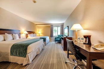 2 Double Beds