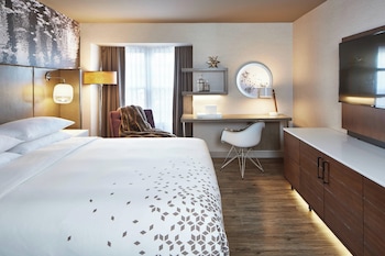 Room, 1 King Bed (Mobility/Hearing Accessible, Tub)