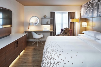 Room, 1 King Bed