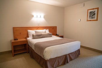 Hotel Room 1 Queen