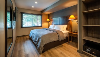 Studio Suite, 1 King Bed with Sofa bed, Kitchenette (Buffalo Suite)