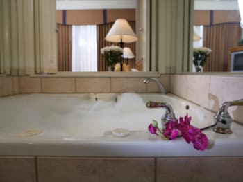 Deluxe Suite, 2 Bedrooms