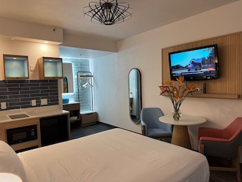Suite, 1 Queen Bed, Non Smoking (Efficiency, Upgrade)