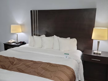 Standard Room, 1 King Bed, Non Smoking