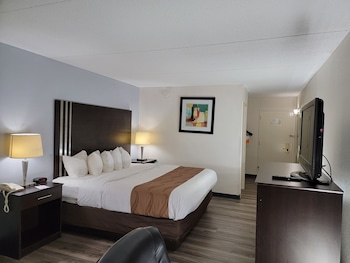 Standard Room, 1 King Bed, Non Smoking