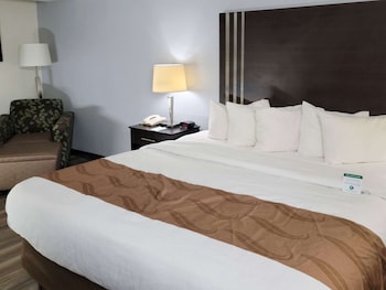 Standard Room, 1 King Bed, Non Smoking