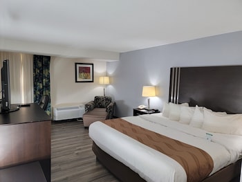 Standard Room, 1 King Bed, Non Smoking