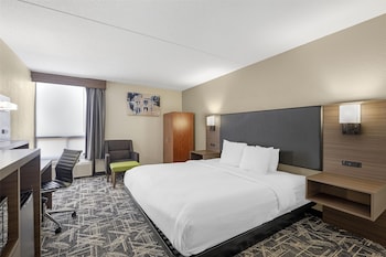 Standard Room, 1 King Bed, Accessible, Refrigerator & Microwave