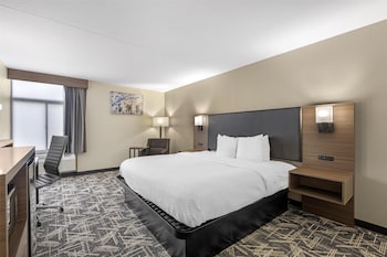 Standard Room, 1 King Bed, Non Smoking, Refrigerator & Microwave