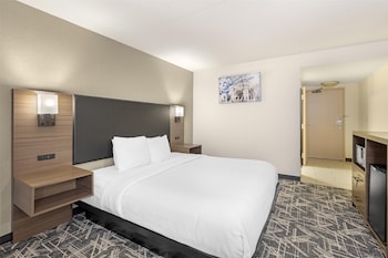 Standard Room, 1 King Bed, Accessible, Refrigerator & Microwave