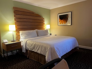 Suite, 1 King Bed