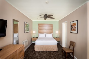 Standard Room, 1 Queen Bed, Accessible (Mobility, Roll-In Shower)