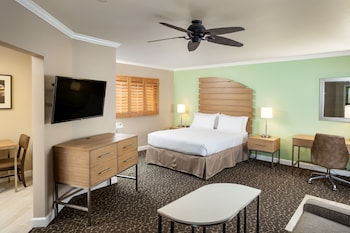Suite, 1 King Bed