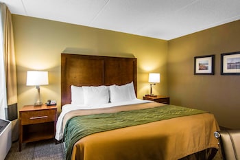 Standard Room, 1 King Bed, Non Smoking