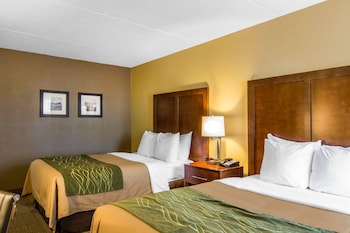 Standard Room, 2 Double Beds, Non Smoking