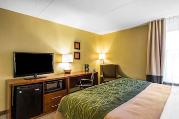 Standard Room, 1 King Bed, Non Smoking