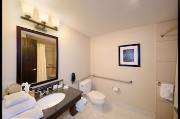 Room, 1 King Bed, Accessible (Mobility & Hearing, Roll-in Shower)