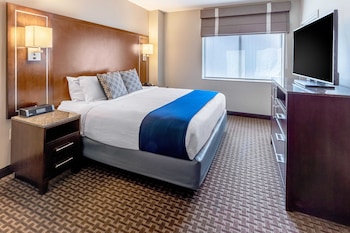 Room, 1 King Bed