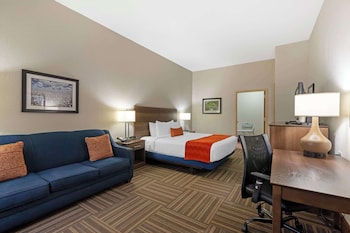 Standard Room, 1 King Bed, Accessible, Non Smoking