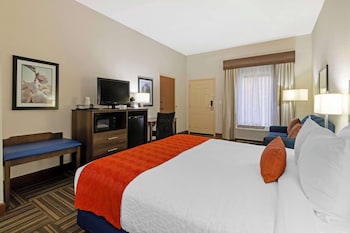 Standard Room, 1 King Bed, Accessible, Non Smoking
