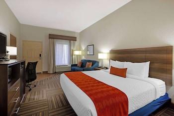 Standard Room, 1 King Bed, Accessible, Non Smoking