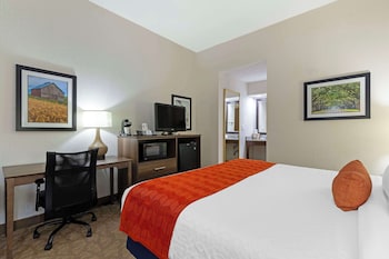 Standard Room, 1 King Bed, Non Smoking, Refrigerator & Microwave