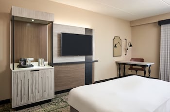 Room, 1 King Bed