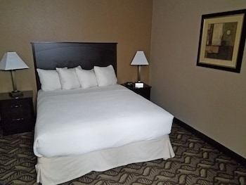 Executive, One Queen Bed, Non-Smoking